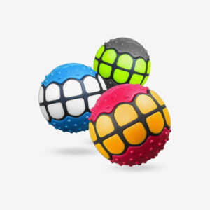 Dog Ball Pet Chew Toy