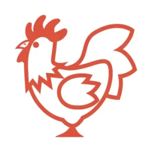 Chicken Meat