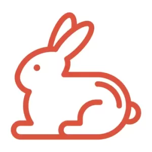Rabit Meat